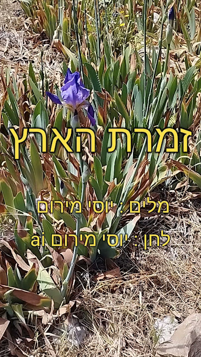 ישראל והעולם, ישראל והעולם עסקים