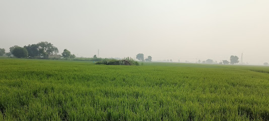 Saral Kisan