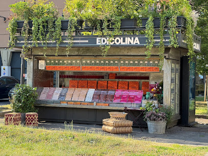 Edicolina Milano