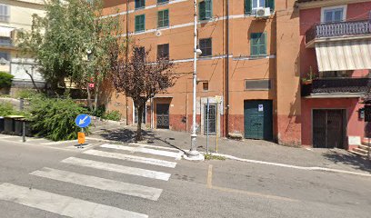 Perrotta Domenico