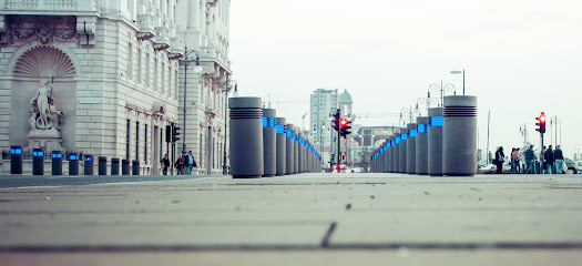 Trieste.news – mediaimmagine s.r.l. – Informazione e pubblicità sul Web