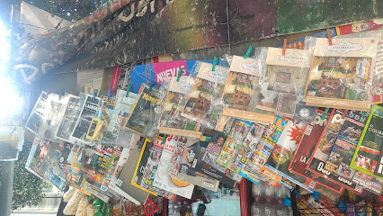 Periódicos y revistas Neli