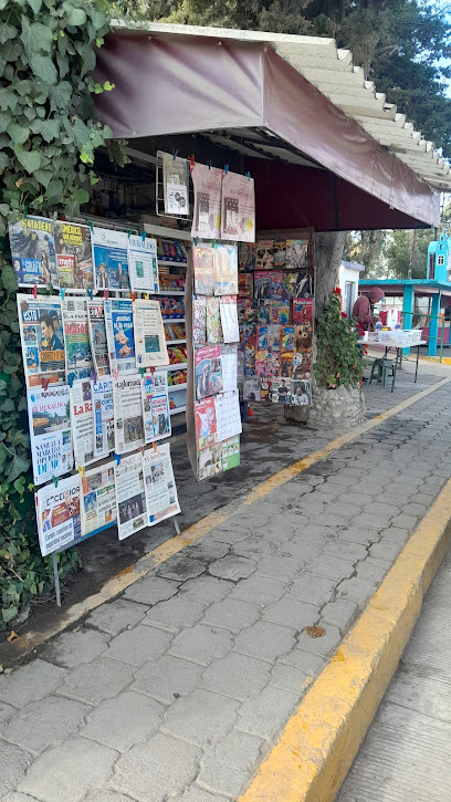 Periódicos y Revistas San Francisco Tlalcilalcalpan Almoloya de Juárez adomex