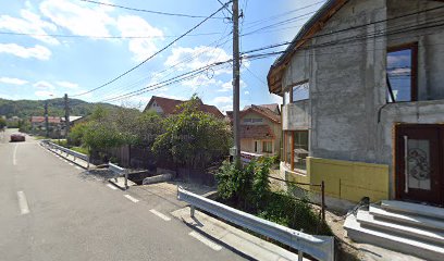 Enache