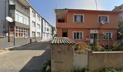 Saray Haber